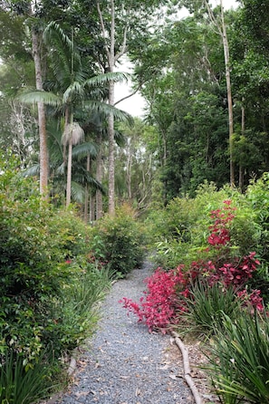many pathways to explore on this 15 acre rainforest property 