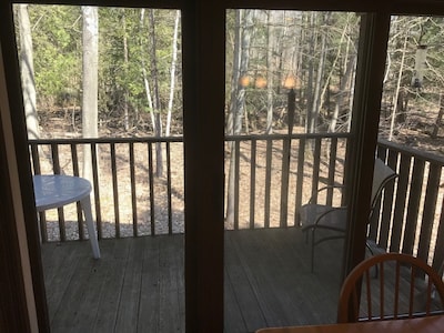 Beautiful Ground Level 2 bedroom condo nestled in the woods on the Shanty Creek