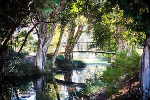 Parks with loads to discover including zip line for the whole family!
