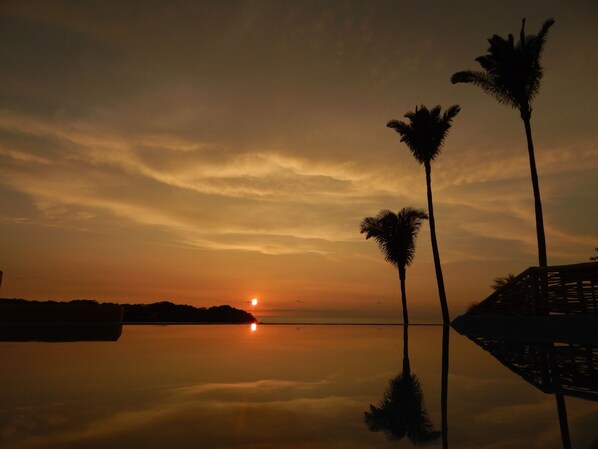 Enjoy the roof top infinitypool while staying at VIlla los Corales studio Iguana