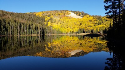 Escape to the wild. Secluded remote cabin with private pond