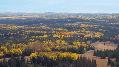 Escape to the wild. Secluded remote cabin with private pond