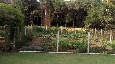 Casa de campo, Ibiúna, 74 km de SP, Natureza,  ideal para Família!