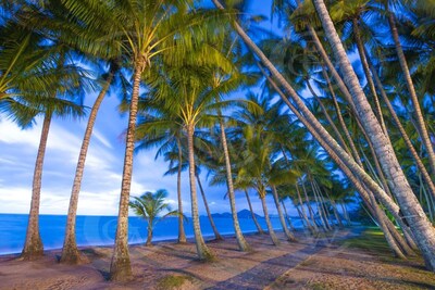 Tranquility Chill at Palm Cove - The ideal family accommodation.