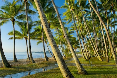 Tranquility Chill at Palm Cove - The ideal family accommodation.