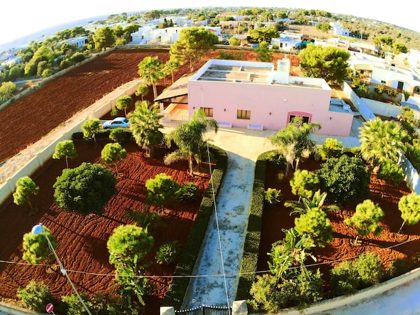 Aerial view (2019)