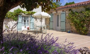 Read a book in the courtyard in the shade beside the vines