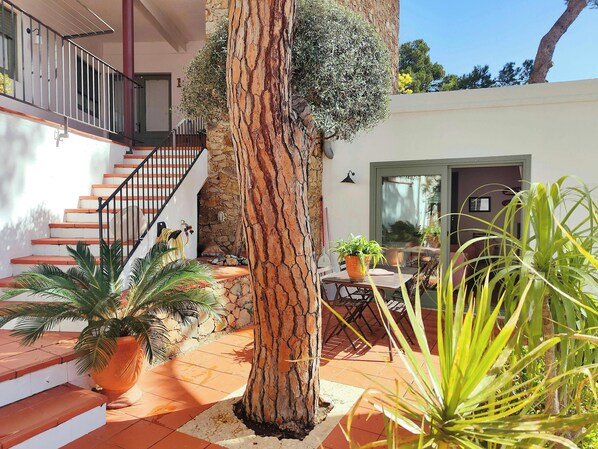 Close to the beach and surrounded by nature. They are comfortable apartments, well located close to the sea and very quiet, which is rare this close to the beach. We have done our best to make the apartments and its communal garden, cozy and comfortable s