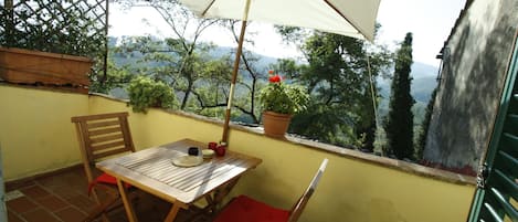 roof terrace with view over vineyards