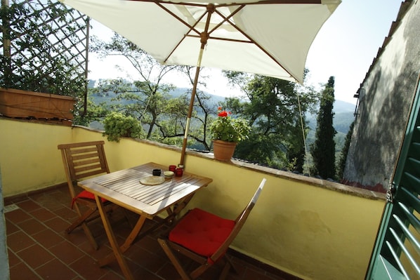 roof terrace with view over vineyards