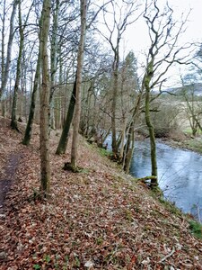 Luxury lodge for rent in the beautiful Perthshire Countryside