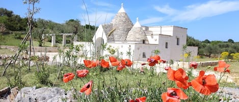 Jardines del alojamiento