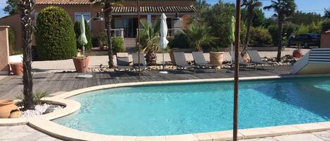 La piscine à l'ombre des palmiers