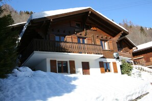 Exteriör