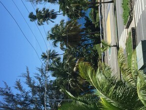 施設の敷地