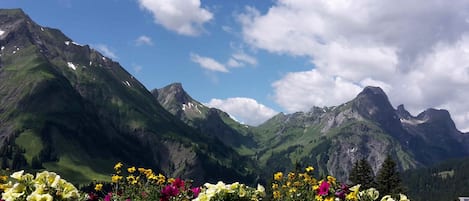 Ausblick aus unseren Appartements