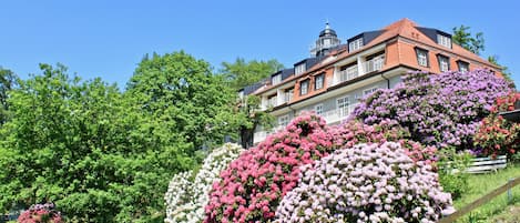 Blick vom Garten aus auf das Haus König Albert mit Ihrem Appartement