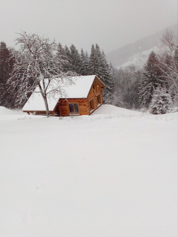 Superbe chalet en plein coeur de la nature , calme assuré !