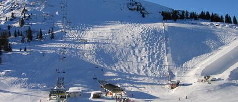 Esportes de neve e esqui