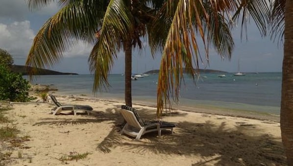 Relax on your sandy beach front and enjoy Buck Island views and easy water acces