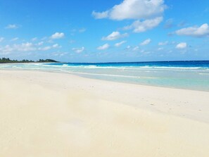 One of the nicest beaches anywhere in the world one minute away down a dirt road