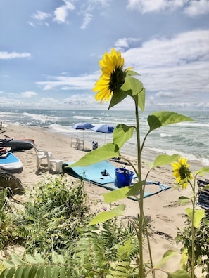 Enjoy the 2 paddle boards, 2 kayaks, 1 floating pad, beach chairs and kids toys.