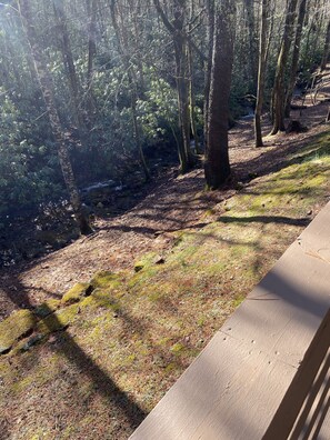 Brook from deck 
