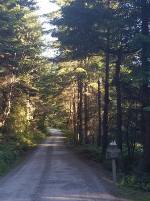 The private road on the way to the house.