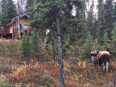 "The Lincoln Cabin in the Forest"
