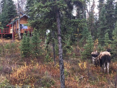 "The Lincoln Cabin in the Forest"