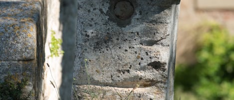 Detalhe da fachada