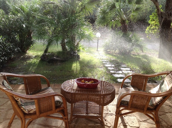 Terrace/patio
