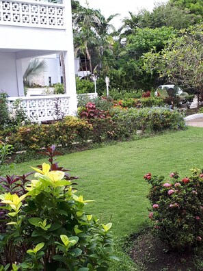 Well maintained garden from all angles, plenty of colour 