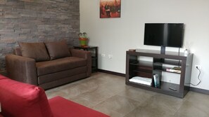 Living Space with 2 Sofa Beds