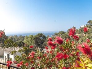 Vue depuis l’hébergement