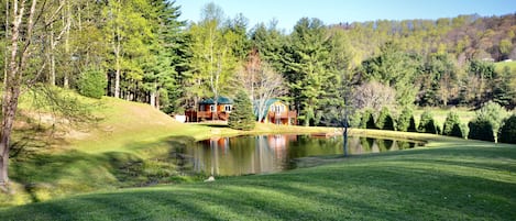 Pond View