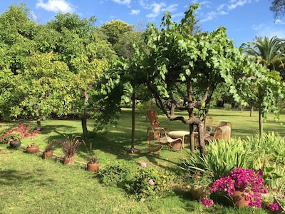 Encanto chileno y ambiente relajante ¡A una corta distancia de Santiago!