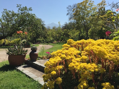 Encanto chileno y ambiente relajante ¡A una corta distancia de Santiago!