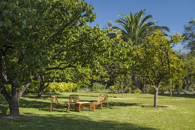 Encanto chileno y ambiente relajante ¡A una corta distancia de Santiago!