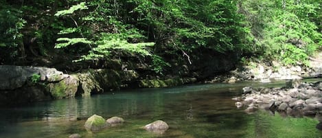 Savage River behind the Rainbow Chalet