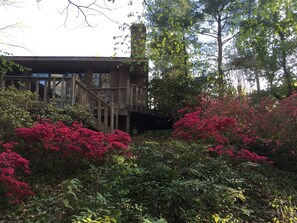 Azaleas surround our NC vacation rental, the perfect spot to enjoy HPU visits. 