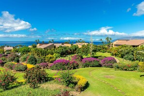 Tropical views