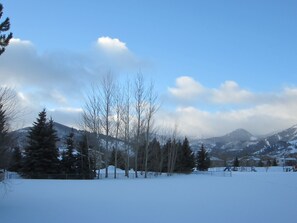 Morning view from kitchen deck