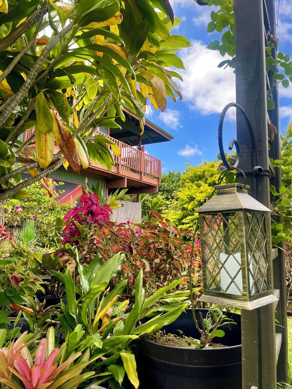 E Komo Mai (Welcomed with Aloha) 