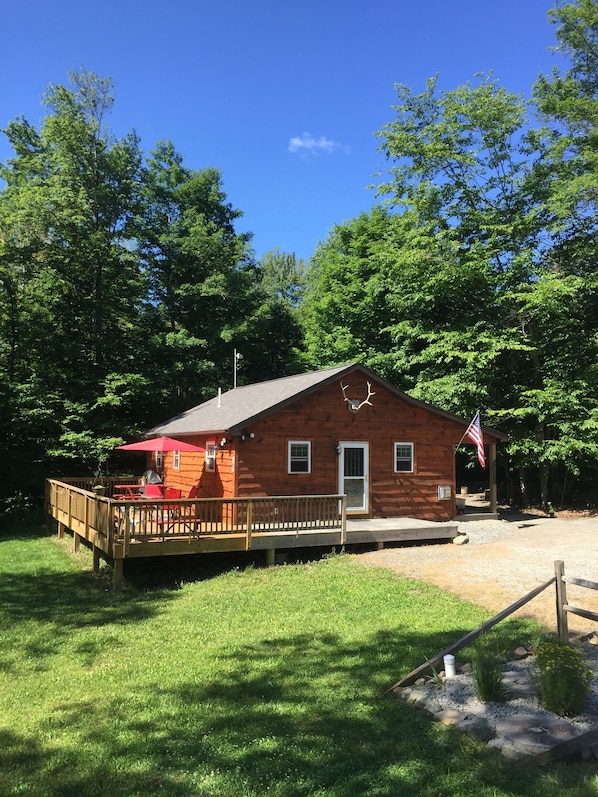 Cabin from the yard