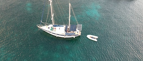 Votre bateau-logement au mouillage à Grande Anse au milieu des tortues