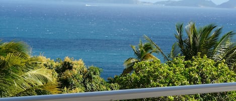 vue de la terrasse panoramique