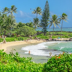 Beach
