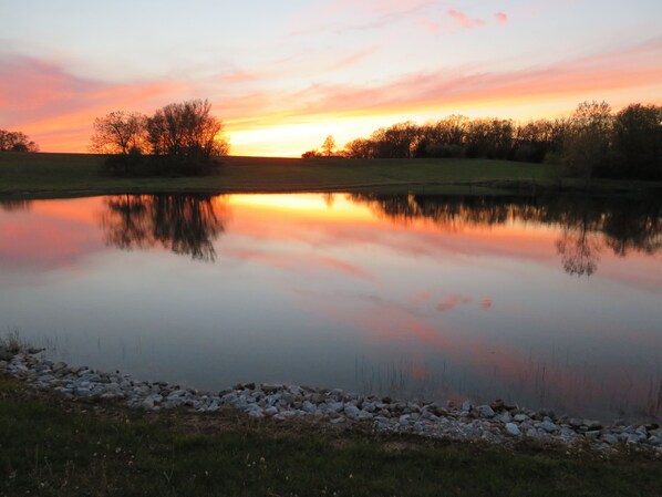 Peaceful and Serene