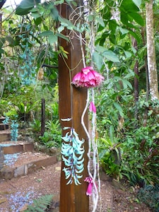 Daintree Holiday Homes - The Folly - A Nature Retreat in The Daintree